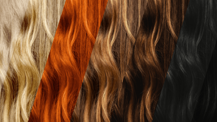 Styled Fall Hair Lineup