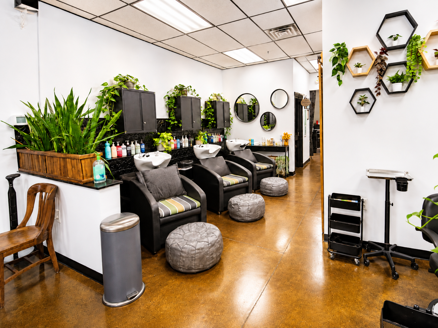 wideangleshampoobedscf